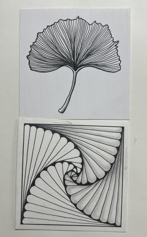 imgs/Pasted image 20240625190550.png|200