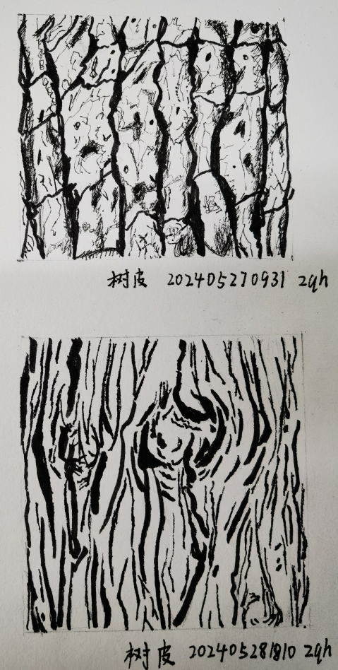 decorate-line-bark.png|150