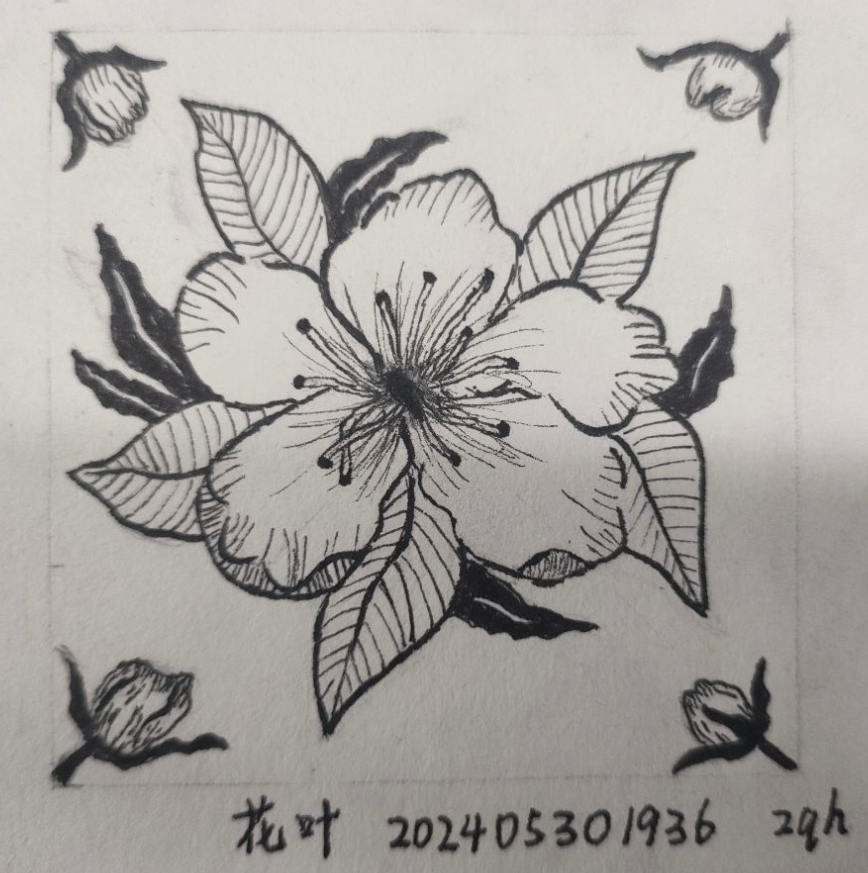 decorate-line-peach-blooms.png|180