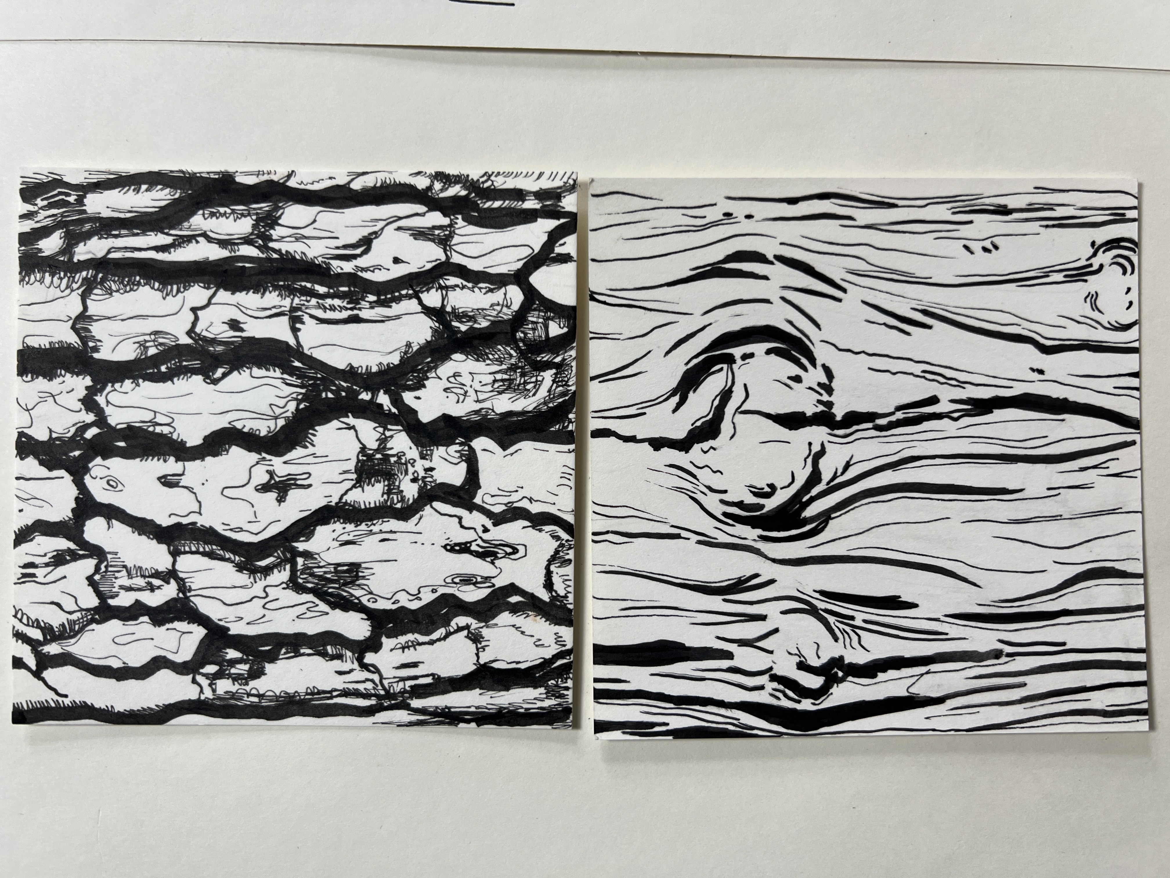 decorate-line-tcher-bark.jpg|200