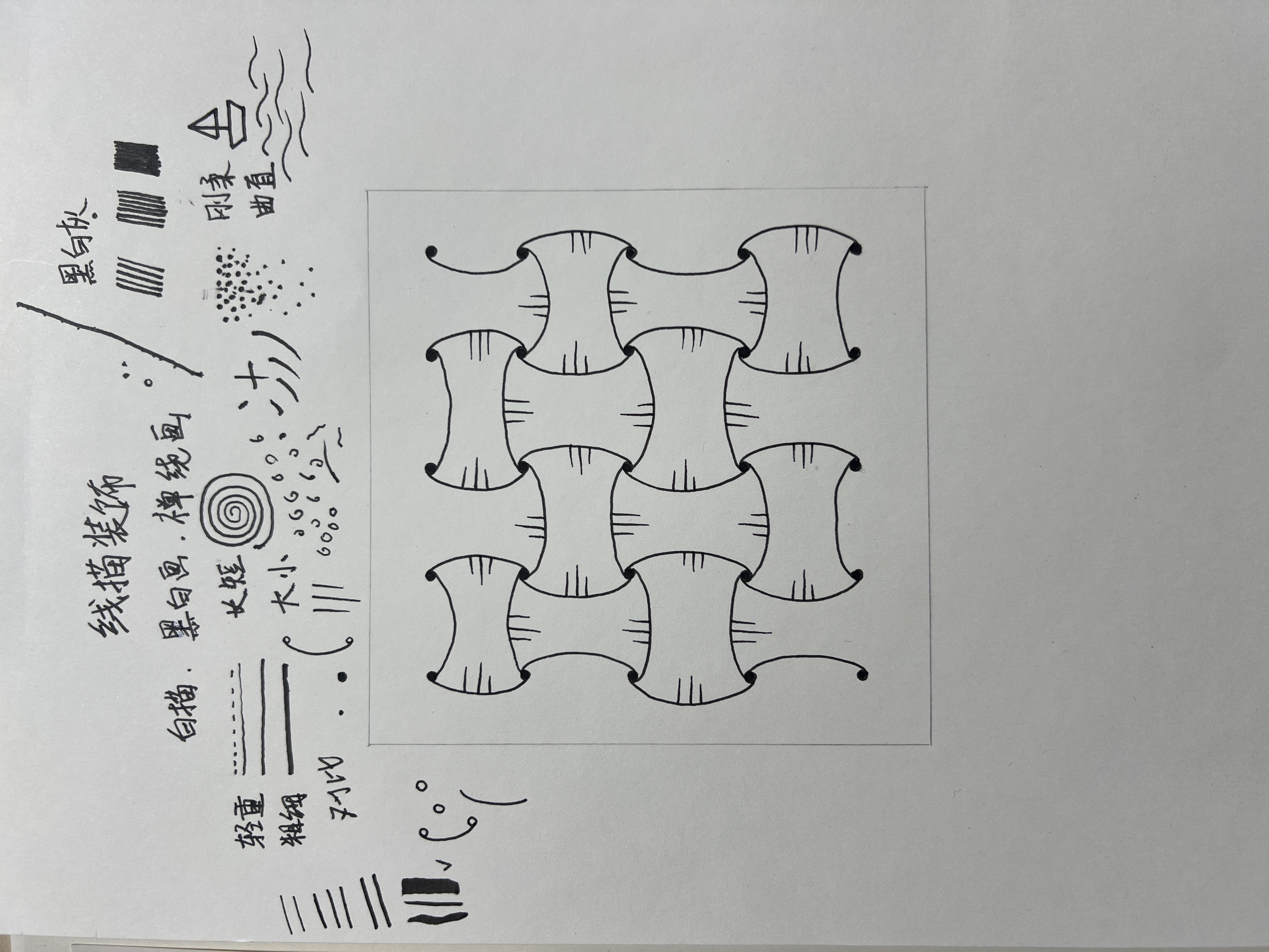 imgs/teacher-bone.jpg|250